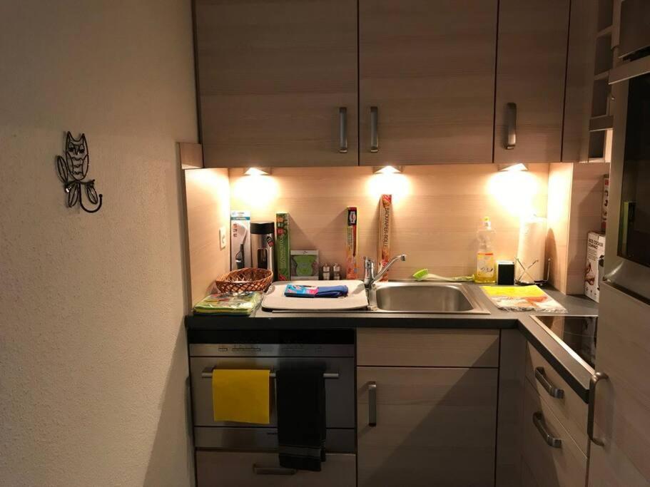 Beautiful 2.5 Room Apartment In Lucerna Zewnętrze zdjęcie